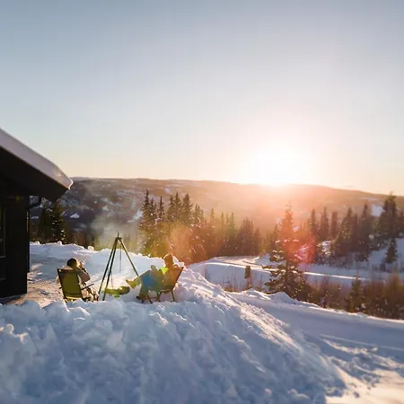 Moderne Med Badstue - Ski-in&ski-out Villaer Aurdal
