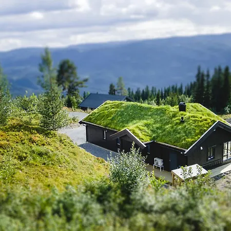 Moderne Med Badstue - Ski-in&ski-out Aurdal